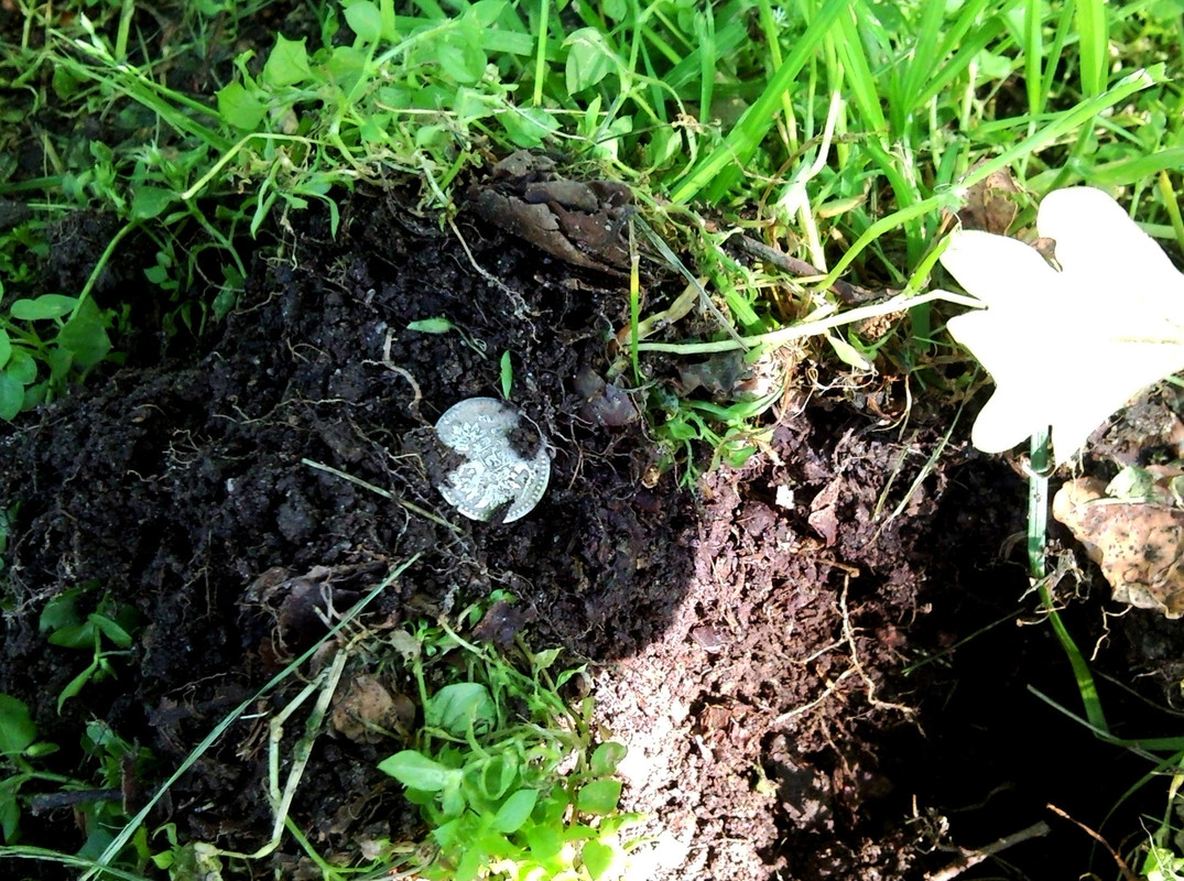 2014-07-04 @17-12-24 - 25 penniä puistosta