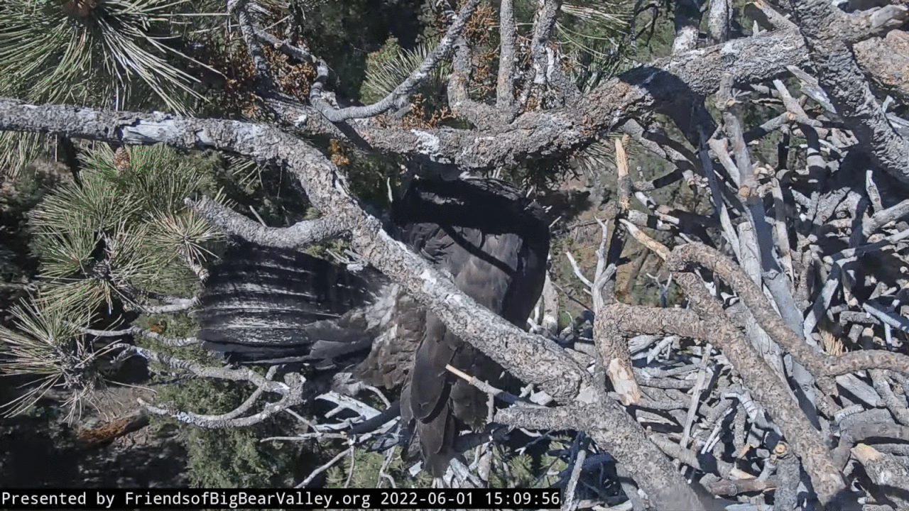 Webp.net-gifmaker (6)