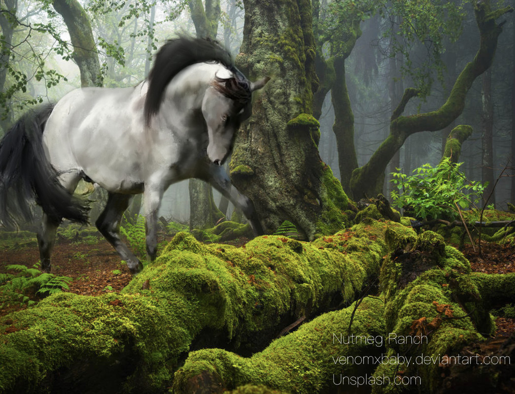 A0FB1367-4FE6-4330-8B78-75D1EEA30D39