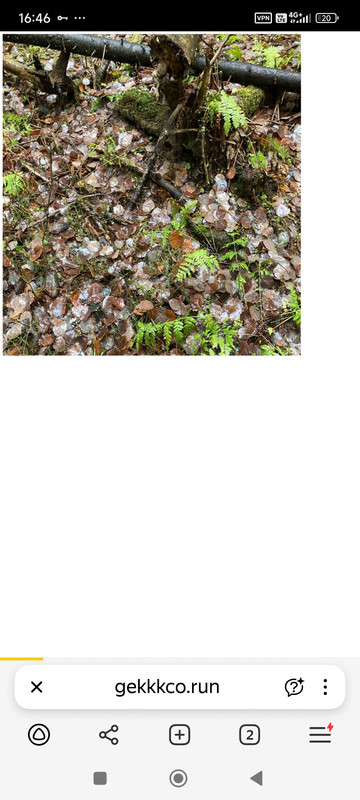 Screenshot 2025 11 20 16 46 20 986 com yandex browser