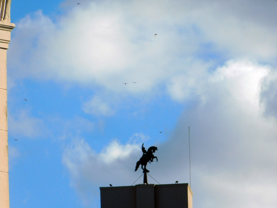 DSCN0129.jpg