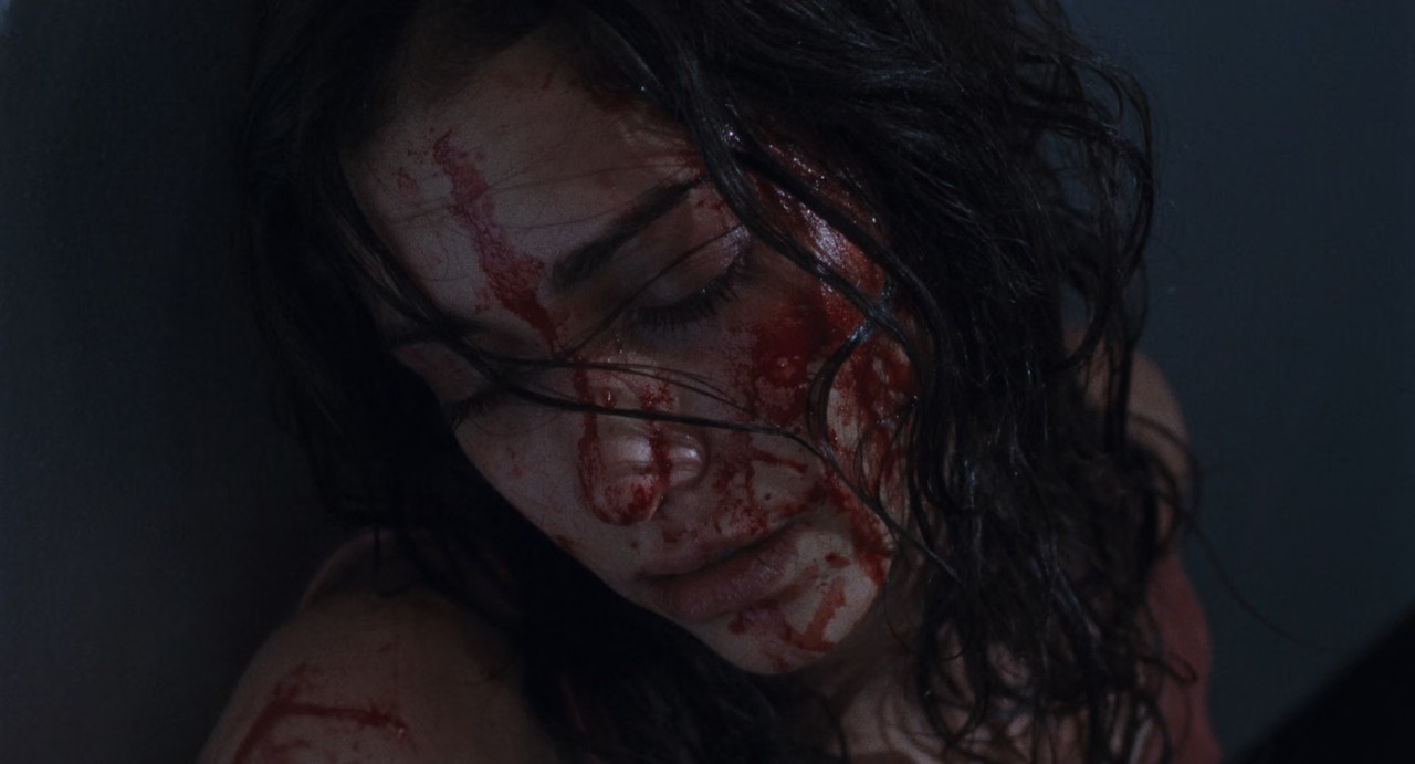 Martyrs 2008 (1080p x265 10bit Tigole).mkv_snapshot_01.00.19_[20