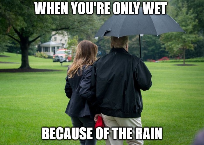 Umbrella.jpg