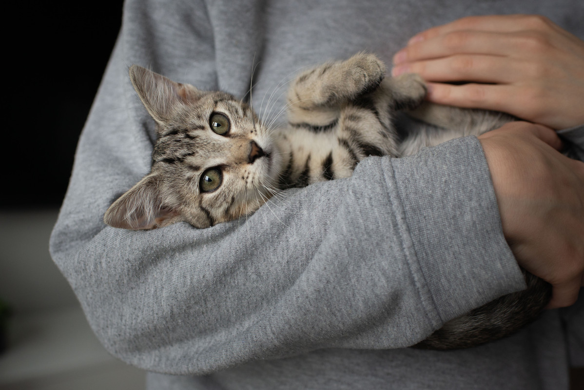 58805CC7-BEB3-4D29-B18C-F37F3C2A5916