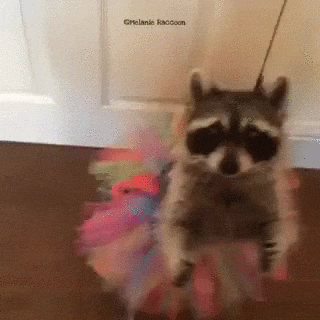 giphy-1.gif