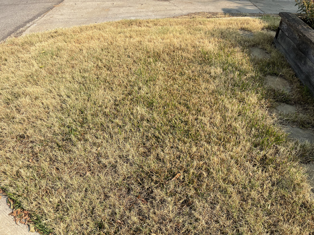 F67567D3-1E6F-4693-9B66-575A4FE396CB