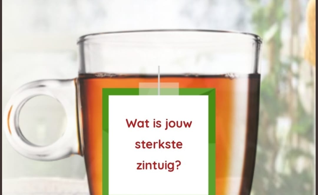 Zintuig.jpg