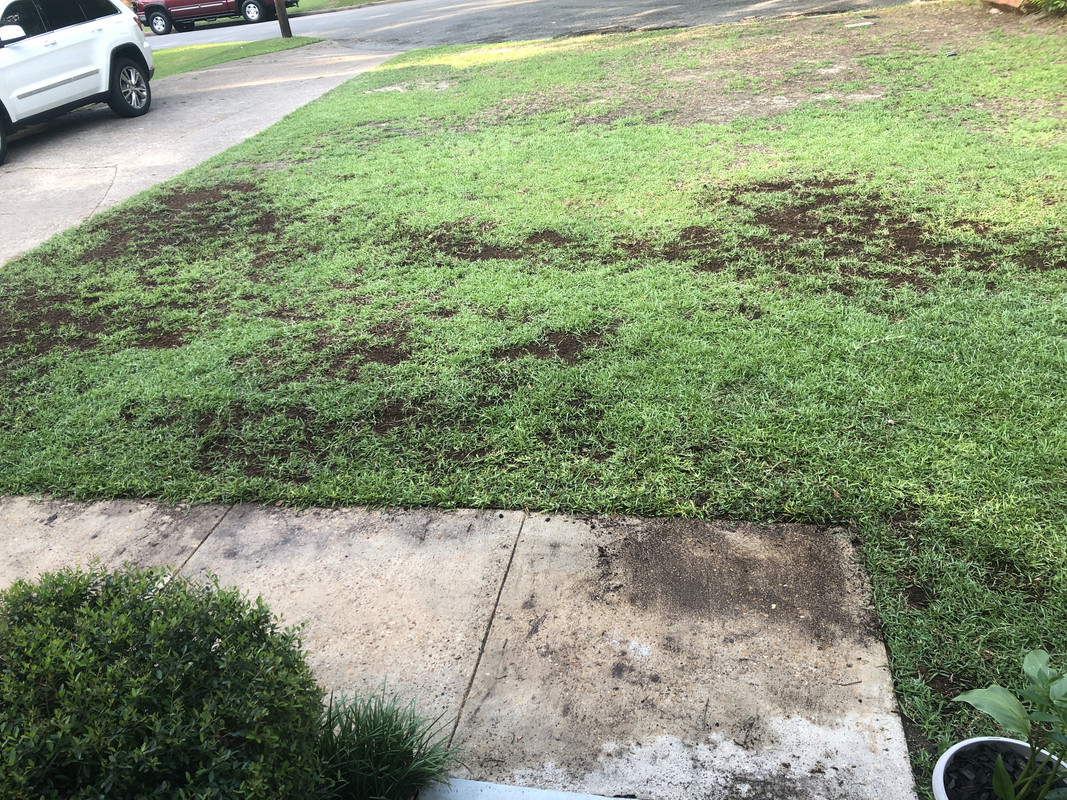 60EC09C3-1460-46A7-9B74-DCFEC35EF701