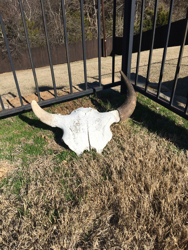 A1F5B2D4-4325-43AF-9FB4-92228820686F