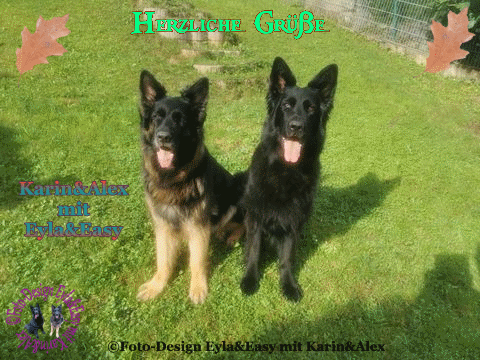 An den Beitrag angehängtes Bild: https://i.postimg.cc/T3LxjHs8/OKTOBER-GB-Herzliche-Gr-e-gif-GB-11-10-2024.gif