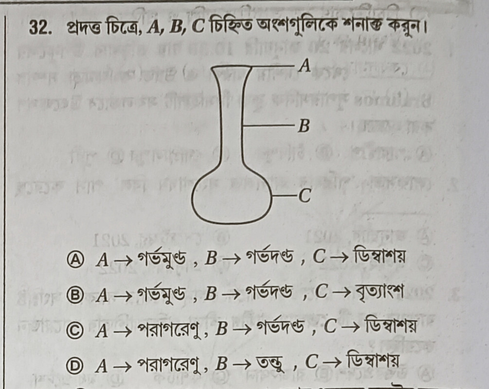 ফুলের গর্ভকেশর