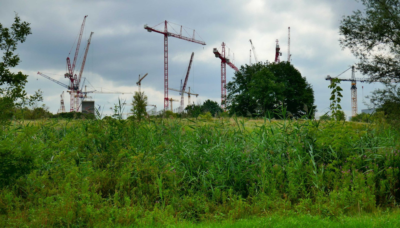 Bild: https://i.postimg.cc/T3LykgDV/P1300058.jpg