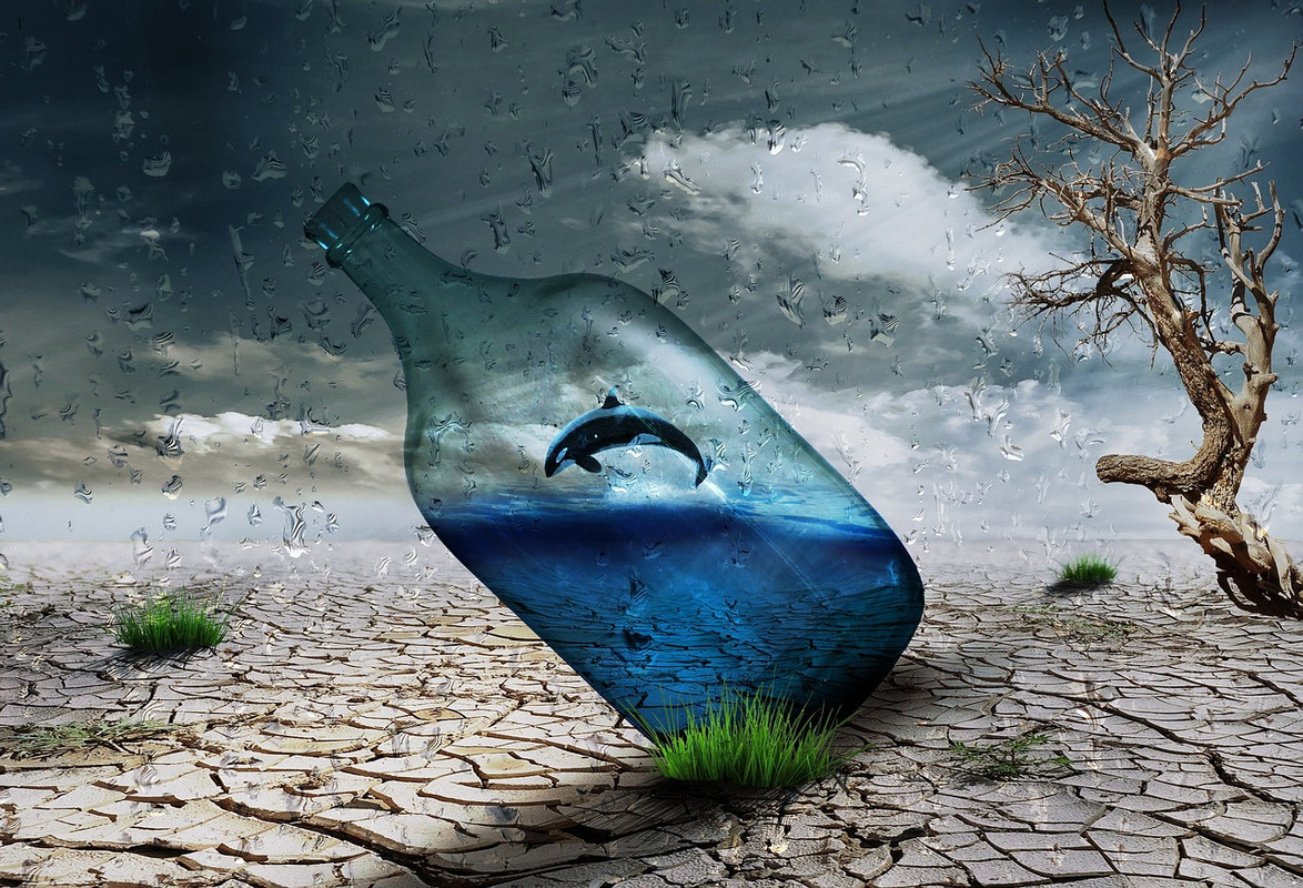 blue-dolphin-desert-749692-1280.jpg