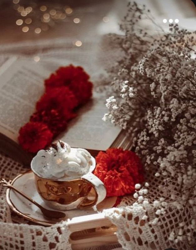 Screenshot_20230219_201548_Pinterest