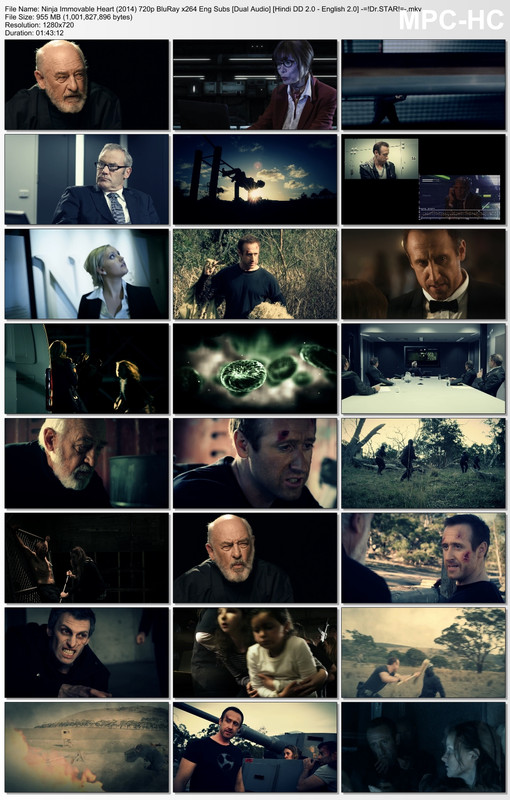 Ninja Immovable Heart (2014) 720p BluRay x264 Eng Subs [Dual Audio] [Hindi DD 2.0 - English 2.0] Exclusive By -=!Dr.STAR!=-