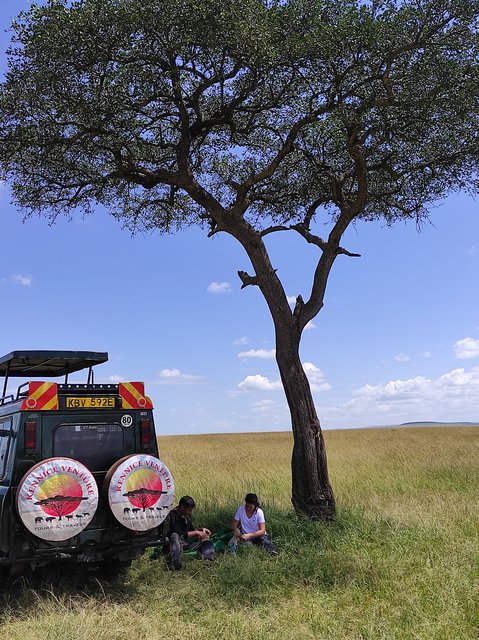 Masai Mara ( día completo Safari) - Conclusiones Masai Mara - 18 días por las tierras más remotas de Uganda y Kenya (8)