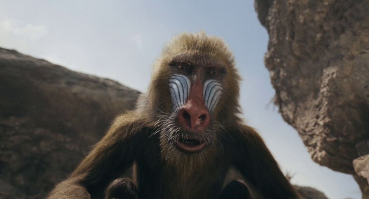 vlcsnap-2025-04-01-19h17m46s021