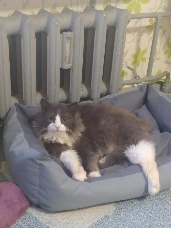 80BB3BB6-F128-4231-B46A-48F8809ABB80