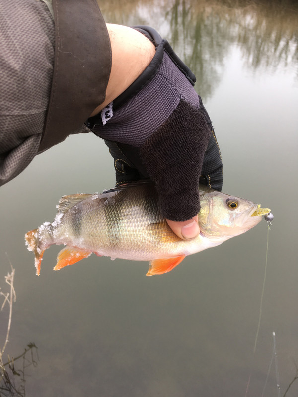 B47EA6FD-B21A-4F21-B818-8E0180252BB0