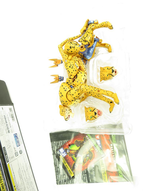 66509211_2845001112181096_2999843289693159424_n