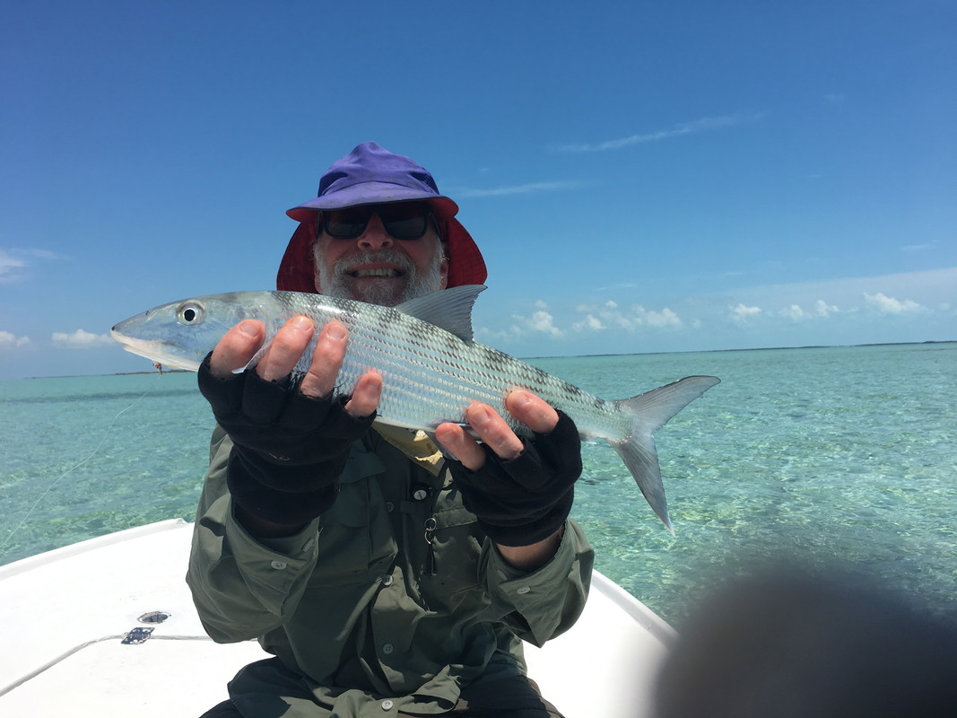 E7609B21-C480-4010-BA82-DFF60054355F