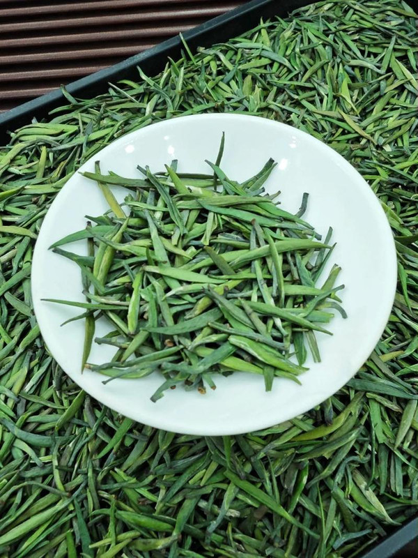 Jiushan Cuiya: The Jade-Green Elixir of China’s Ancient Tea Culture Jiushan Cuiya: The Jade-Green Elixir of China’s Ancient Tea Culture