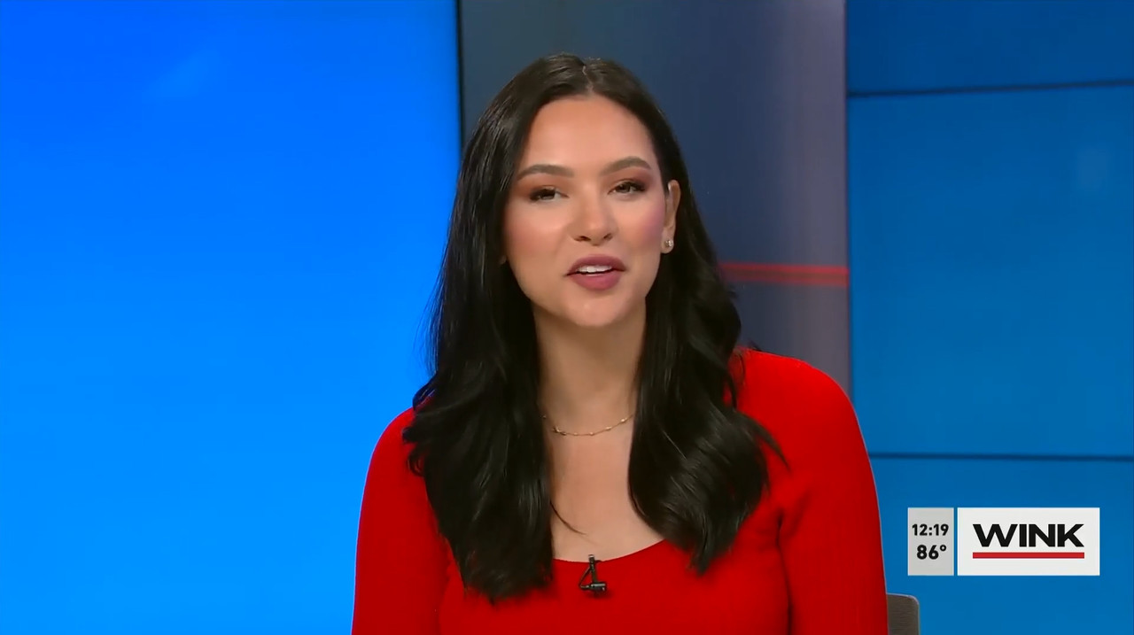 03.27 - 17.00.00 - The Wink Noon News  ᴺᵉʷ. Midday News Update.-1.mp4_snapshot_25.17.193