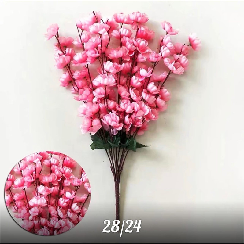 https://i.postimg.cc/T3NpMxw5/v-C9gozcah-QU.jpg