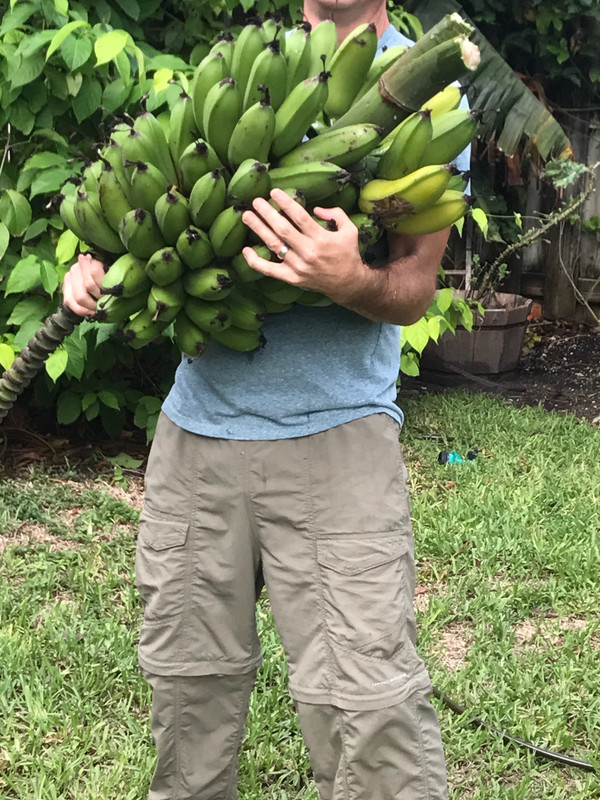 Nanner Harvest Sweethearts 6 2017