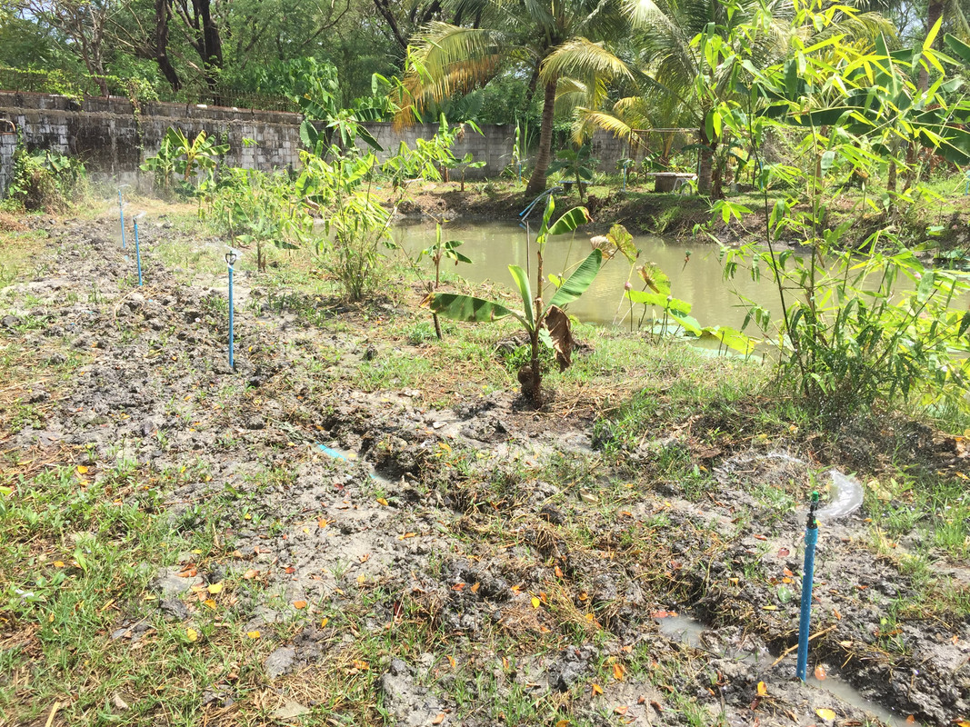 F67A421D-CE01-4C74-A0E2-7DE6C1C99017