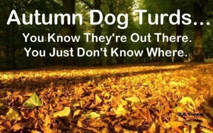 Autumn20-Dog20-Turds20-You20know20theyre-1