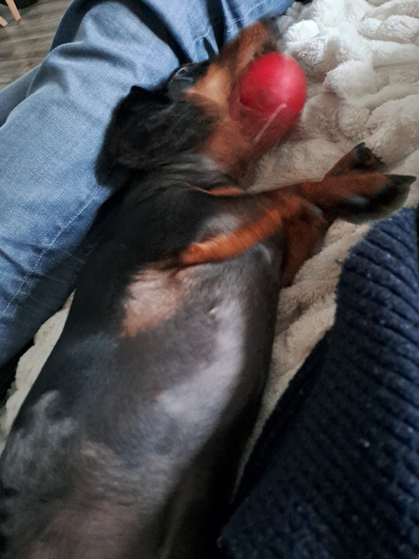 [Image: 20240119-165431.jpg]