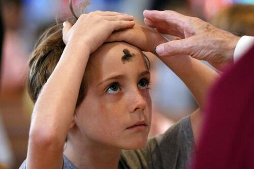 oie-187529Usu-SBk-Yc