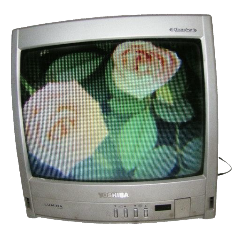 flower tv