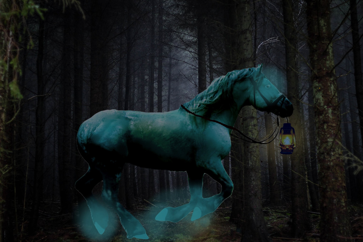 B4ACFD47-4E5F-413A-83B4-B0905E35276E