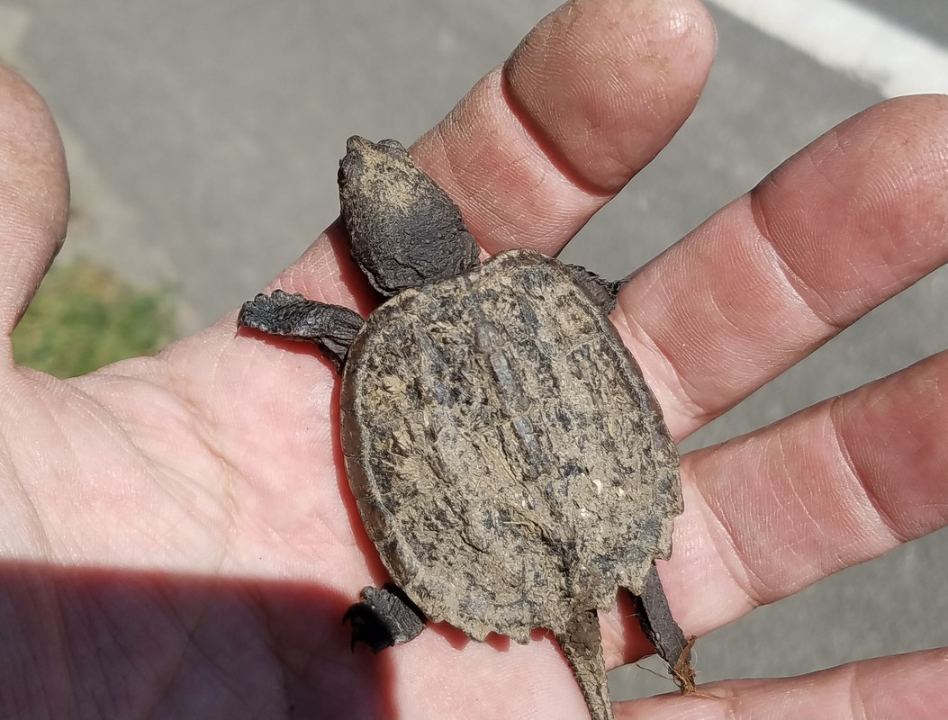 710F64CE-0753-400A-AB89-B814F3CF49F6