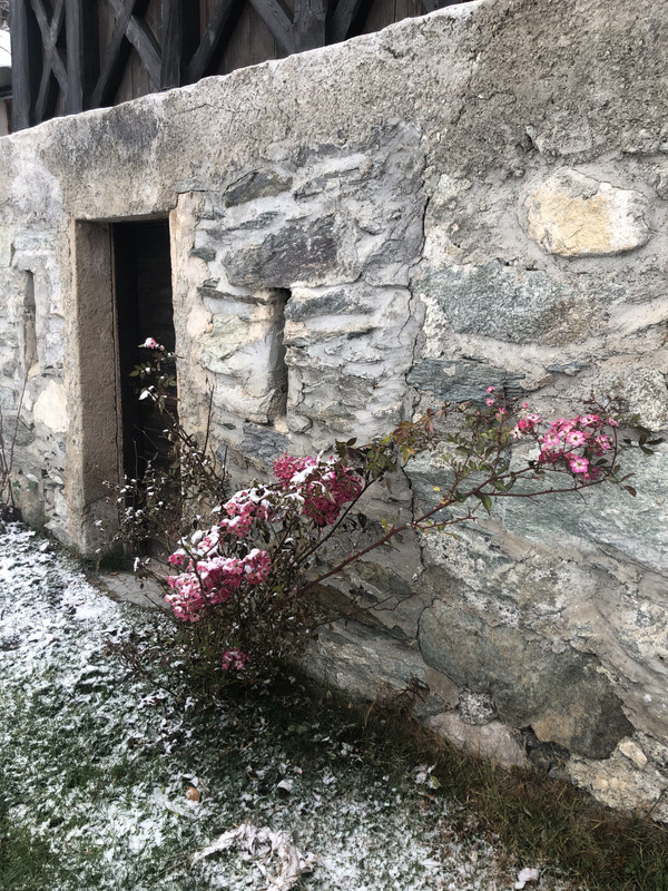 93EC3D9C-CABF-4EB9-92B5-079FC8A8F336