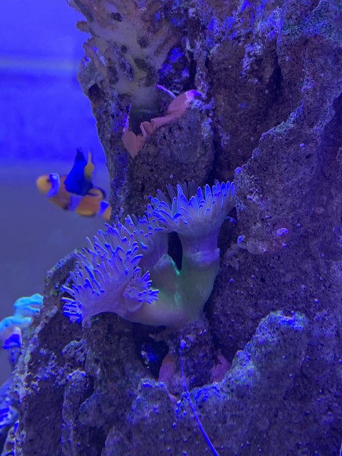 70F30843-5AA3-4BDB-9269-51EB9A71AF9A