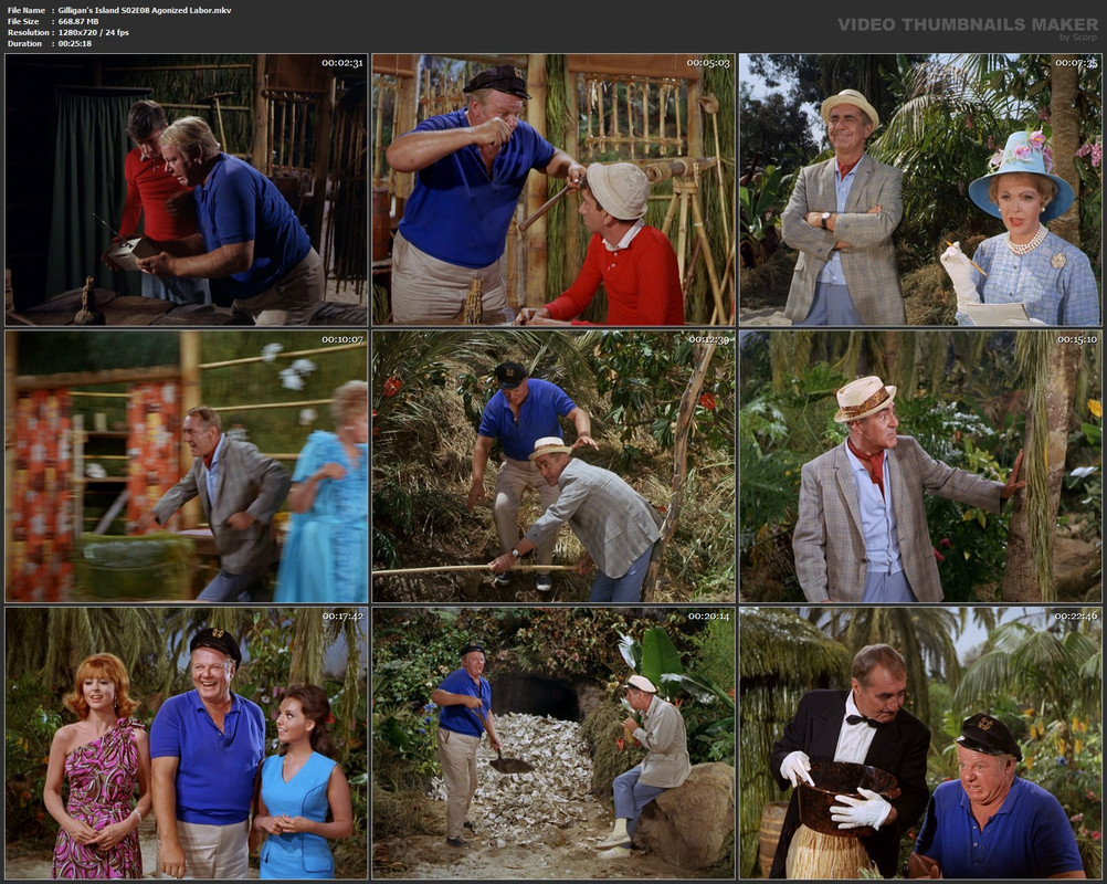 Gilligan's Island S02E08 Agonized Labor.mkv