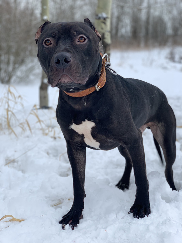 BB085C2A-5062-4CC5-BB5B-CA26E67CED36