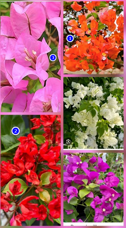 [Image: 2026-04-03-085235.png]