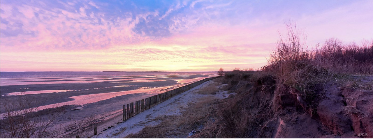 pink-coast.jpg