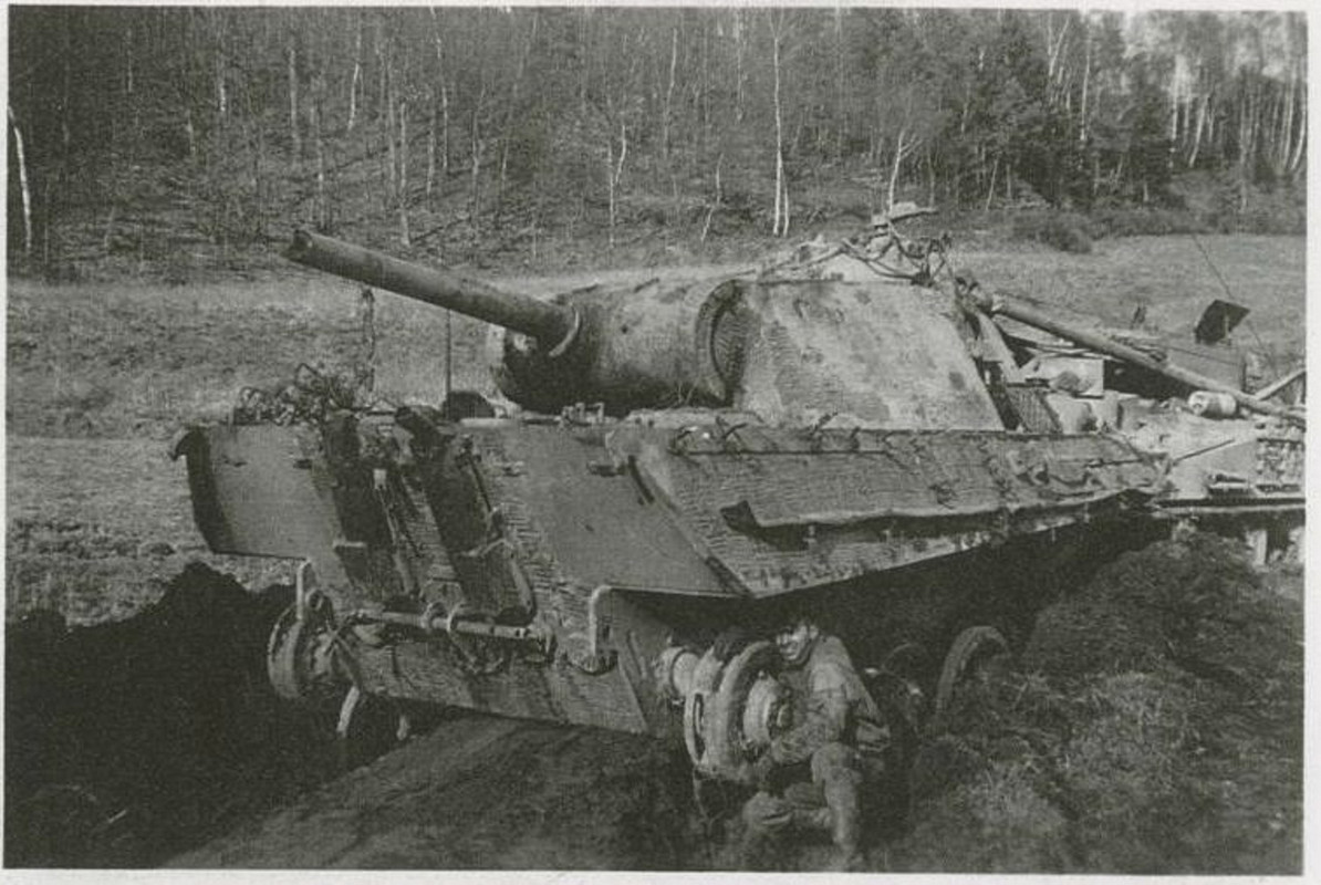 загруженное (7)