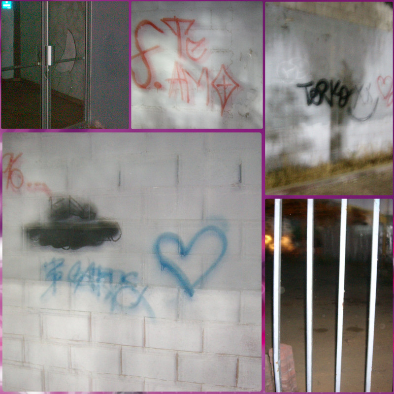 collage5