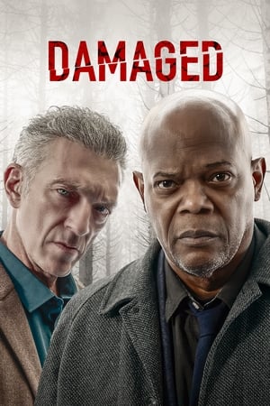 Damaged (2024) PLSUBBED.1080p.WEBRip.AAC.5.1.x264-PhX / NAPISY PL-TRANSLATOR