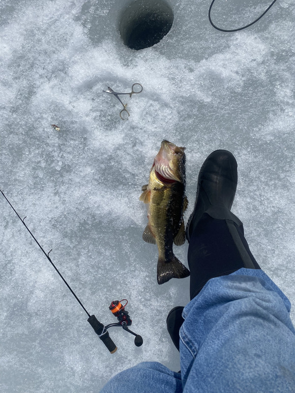 374F5302-5AE5-49A0-A0F7-B656C748389F