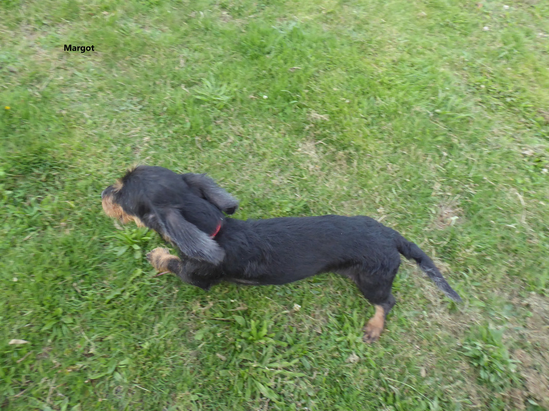 [Image: P1030730.jpg]