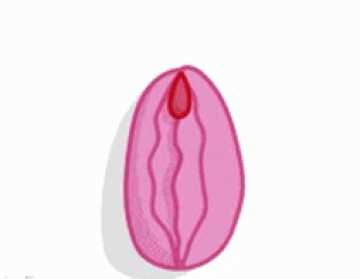 IMG-3172.gif
