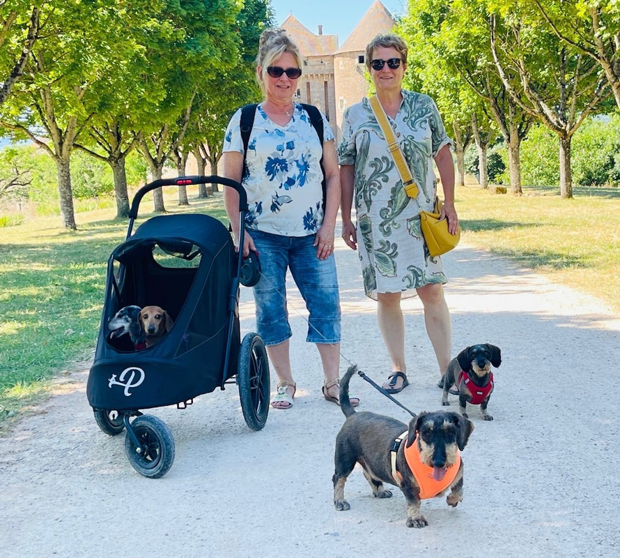 [Image: dc6246ab-3b10-4557-b415-b7dae2bc1e8c.jpg]