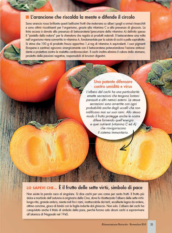 Alim Nat Nov 2016 (6)